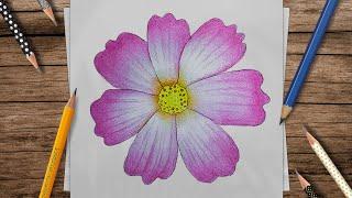 How To Draw a Flower with Pencil Colour / Most Beautiful Flower Drawing Tutorial