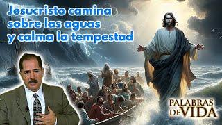 Jesús camina sobre las aguas y calma la tempestad - Palabras de Vida