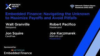 Embedded Finance: Navigating the Unknown to Maximize Payoffs and Avoid Pitfalls