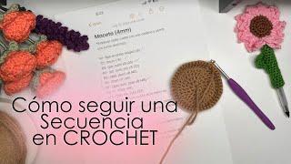 Como seguir una secuencia en crochetMayelin Ros