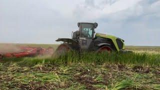 New 2024 Claas Xerion 12.650!  Deep ripping a cattail slough at 14 inches with a Horsch Tiger!!