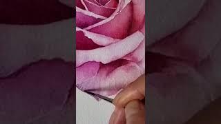 핑크 물빛 머금은 장미꽃 그리기 | 꽃그림 수채화 | watercolor painting #shorts #watercolor #그림그리기