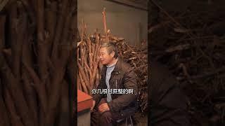 還是回農村安逸，缺什麽就做什麽#金毛路虎