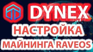 Настройка майнинга Dynex в RaveOS. Получаем адрес для майнинга DynexCoin.