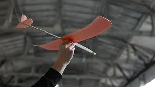 F1N indoor hand launch glider for beginners and semiprofessionals. TUNING INSTRUCTIONS