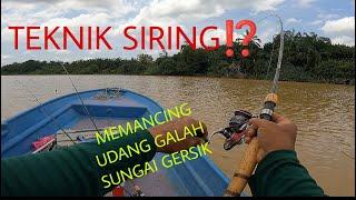 Kenapa Perlu Rajin Pindah Ketika Memancing Udang Galah⁉️ Udang Galah Suka Pindah Randah‼️