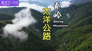 Who says autumn is the most beautiful, the Qinling Mountains in May are also picturesque | Eng Sub