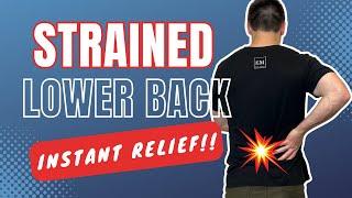 Lower Back Pain Stretches and Exercises | Pulled Lower Back Muscle | QUICK RELIEF!!