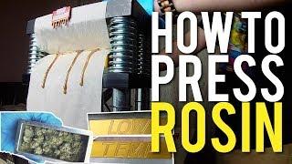 ROSIN PRESS: FULL PROCESS TO SAFE WAX EXTRACTIONS