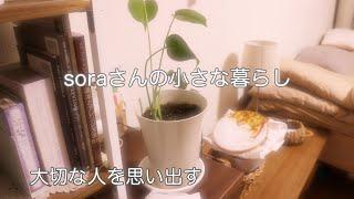 《63歳東京ひとり暮らし+1》お盆休み/ラタトゥイユ/無印/猫と暮らす　#ひとり暮らし  #暮らしのvlog