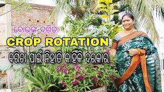 CROP ROTATION || ବଗିଚା ପାଇଁ ନିହାତି କାହିଁକି ଦରକାର||GARDEN|| TERRACE GARDEN   || ବୋଉଙ୍କ ବଗିଚା