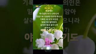 #찬양 #말씀 #은혜 #행복한동행