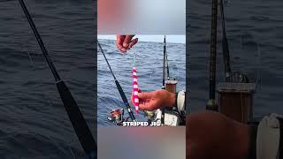 Tired of TANGLED fishing lines? This Trick Actually Works! #fishing