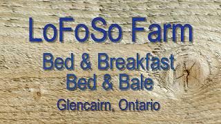 LoFoSo Farm Bed & Breakfast / Bed & Bale Creemore Ontario