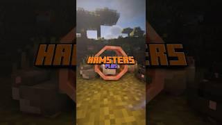 Hamsters Plus  Minecraft Java #minecraft #minecraftmods #minecraftshorts #animals #alecstry