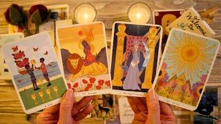 LOVE TAROT READING- THIS IS HOW THEY REALLY FEEL & THEIR NEXT MOVE!! 