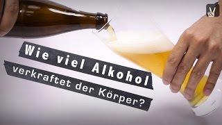 Alkoholkonsum: So viel Alkohol verkraftet der Körper