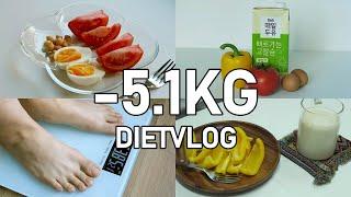 ENG)식단만으로 일주일만에 -5.1kg 감량 | 단기 다이어트 식단(diet vlog)