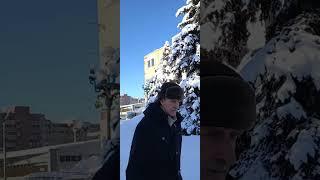 ‍⬛Котенок с улицы-счастье в доме#300#на канале‼️‼️‼️‼️