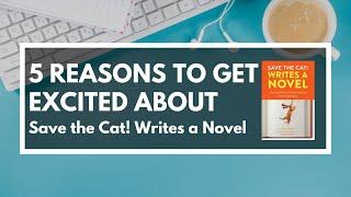 5 Reasons to Get Excited about STC Writes a Novel