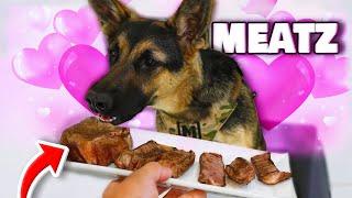 German Shepherd Steak Hunt - Sniffer Challenge