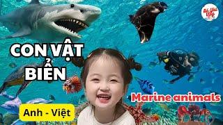 CON VẬT BIỂN | CON GÌ ĐÂY | DẠY BÉ HỌC NHẬN BIẾT CÁC CON VẬT