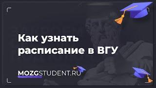 Расписание занятий ВГУ | mozgstudent.ru