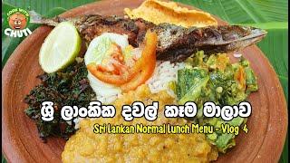 ශ්‍රී ලාංකික දවල් කෑම මාලාව  Sri Lankan Lunch   - Vlog 4