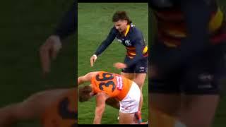 Josh Rachele is CRAZY AFL season 23 #afl # video