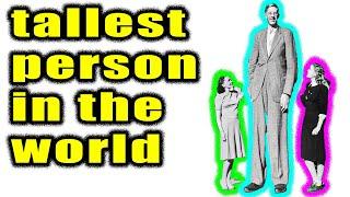 the TALLEST person in the world Robert Wadlow  RECORD VIDEO COMPARISON TO USUAL PERSON