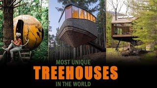 10 Best Treehouse Hotels For Unique Experience