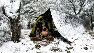 Caught in Heavy Snow With My Dog - Winter Camping in Snowfall • Bad Weather Conditions