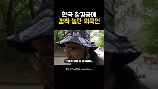 창경궁에서 외국인이 대박이라 한 이유는? #해외반응