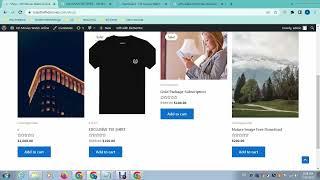 How to use product image zoom effects in wordpress ecommerce website