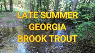 Southern Brook Trout Fishing with a new JP Ross rod