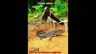 Best Animal Traps ️ | #edit #trollface #trap #usa #newyork
