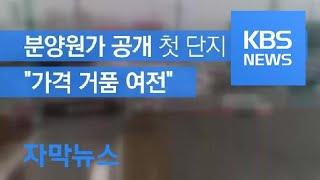 [자막뉴스] 분양원가 공개 첫 단지 보니…“가격 거품 여전” / KBS뉴스(News)