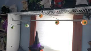 Gemmy musical eyeball light string