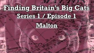 Finding Britain’s Big Cats | Series 1 / Episode 1