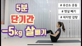 단기간 살빼기 (층간소음 없는 유산소운동,체지방감량,뱃살빼기)workout,pilates,matpilates,cardioworkout