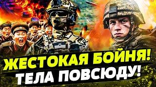 10 МИНУТ НАЗАД! ПОДОРВАЛСЯ: ВОЕННЫЙ КНДР C ГРАНАТОЙ! ШОК-КАДРЫ! МОЩНО РАЗБИЛИ ШТУРМОВИКОВ РФ!