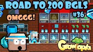 I GOT SCAMMED BGLS.. | Road To 200 BGLS #36 | GrowTopia Profit 2024