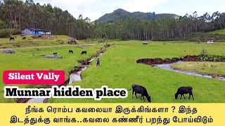 #Munnar tourist places in tamil_2023 |silent vally kerala tamil