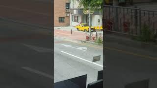 포니