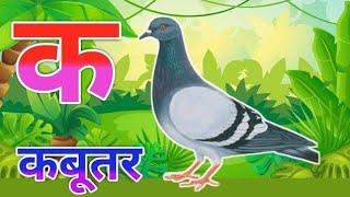 क से कबूतर का वीडियो|क से कबूतर|kash kabutar|ka se kabutar in english|क से कबूतर वर्णमाला pdf