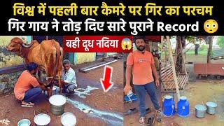  Live Milking में गिर गाय की दूध सुनामी || MILKING LINE वाली GIR || 20+ Milk 