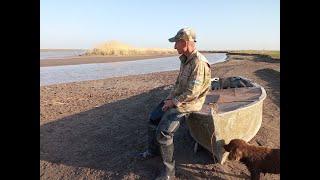 Amu Darya Shovelnoses conservation project. Arranging a field base. Town of Khanka - Amu Darya area