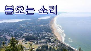 봄오는 소리 Oregon Beach