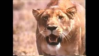National Geographic Special, Africa's Animal Oasis (1992)