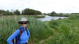 West Somerton & River Thurne Walk, Broads National Park, Norfolk Broads Walks In England, UK